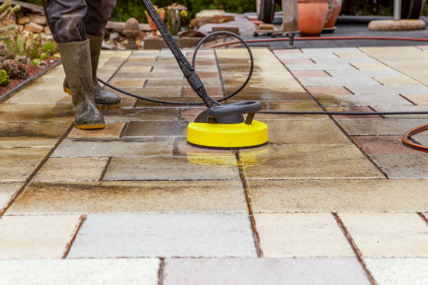 Best Animal Enclosure Cleaning  in Howard, WI